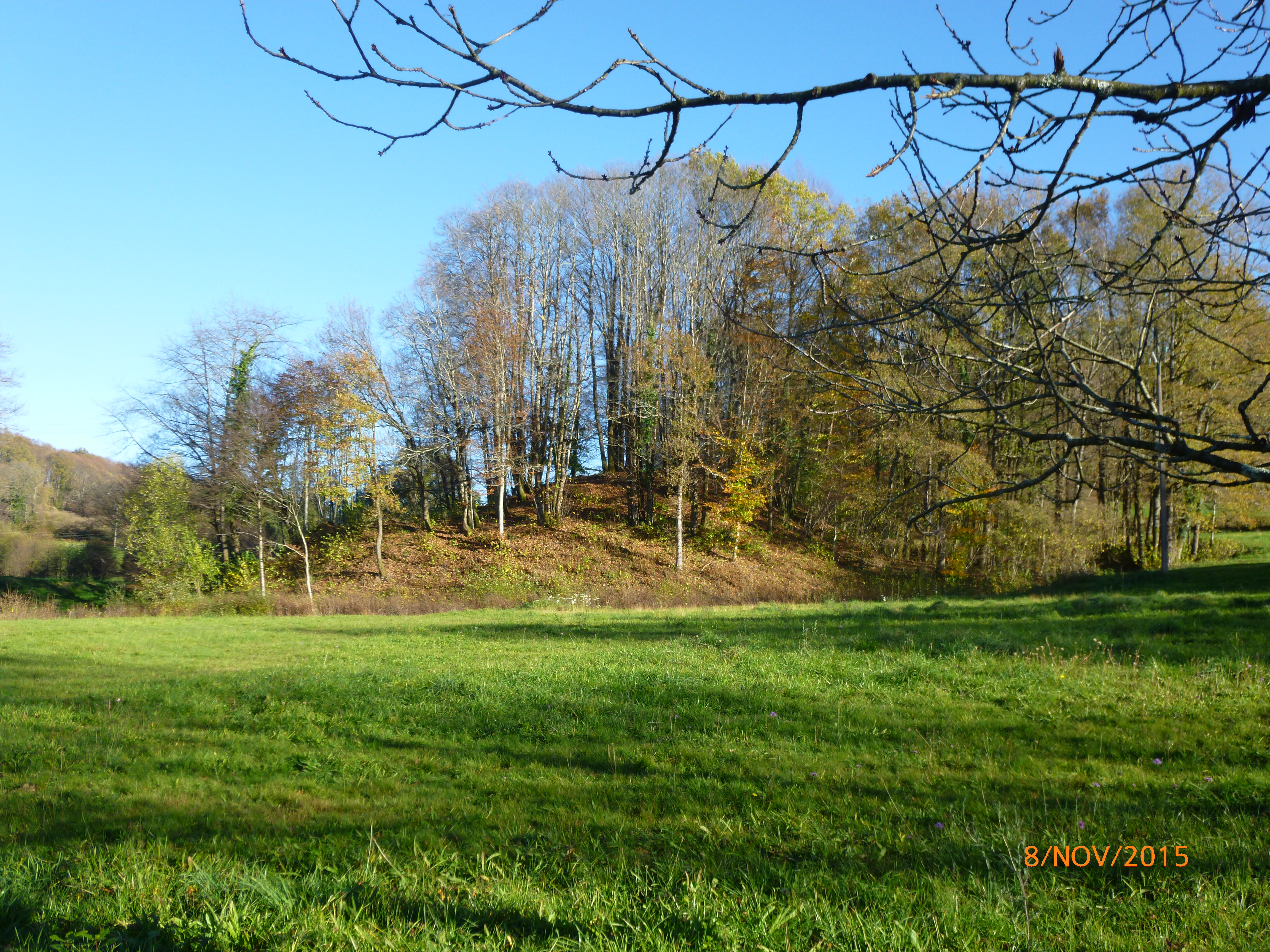 Motte castrale et fossé de Puy Archer, dit Châteauvieux à La Porcherie_1