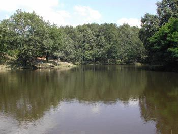 Etang de la marche à Coussac Bonneval_1