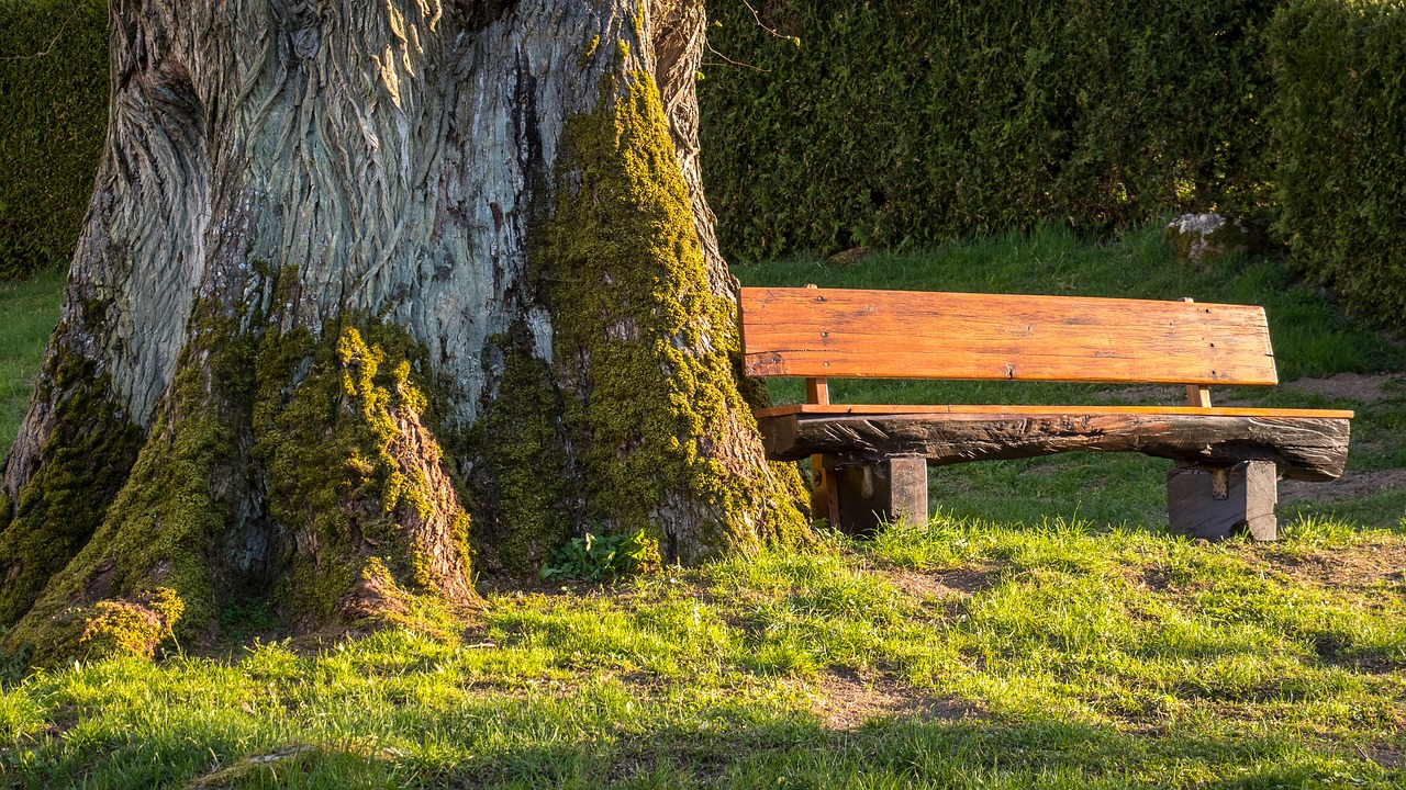 Aire de pique-nique à Balledent_1