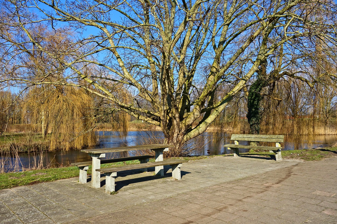 Aire de pique nique à Mézières-sur-Issoire_1