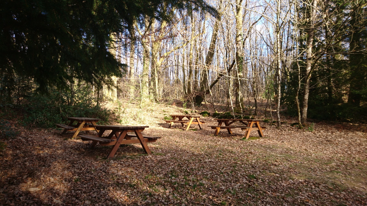 Aire de pique-nique Forêt de Boubon