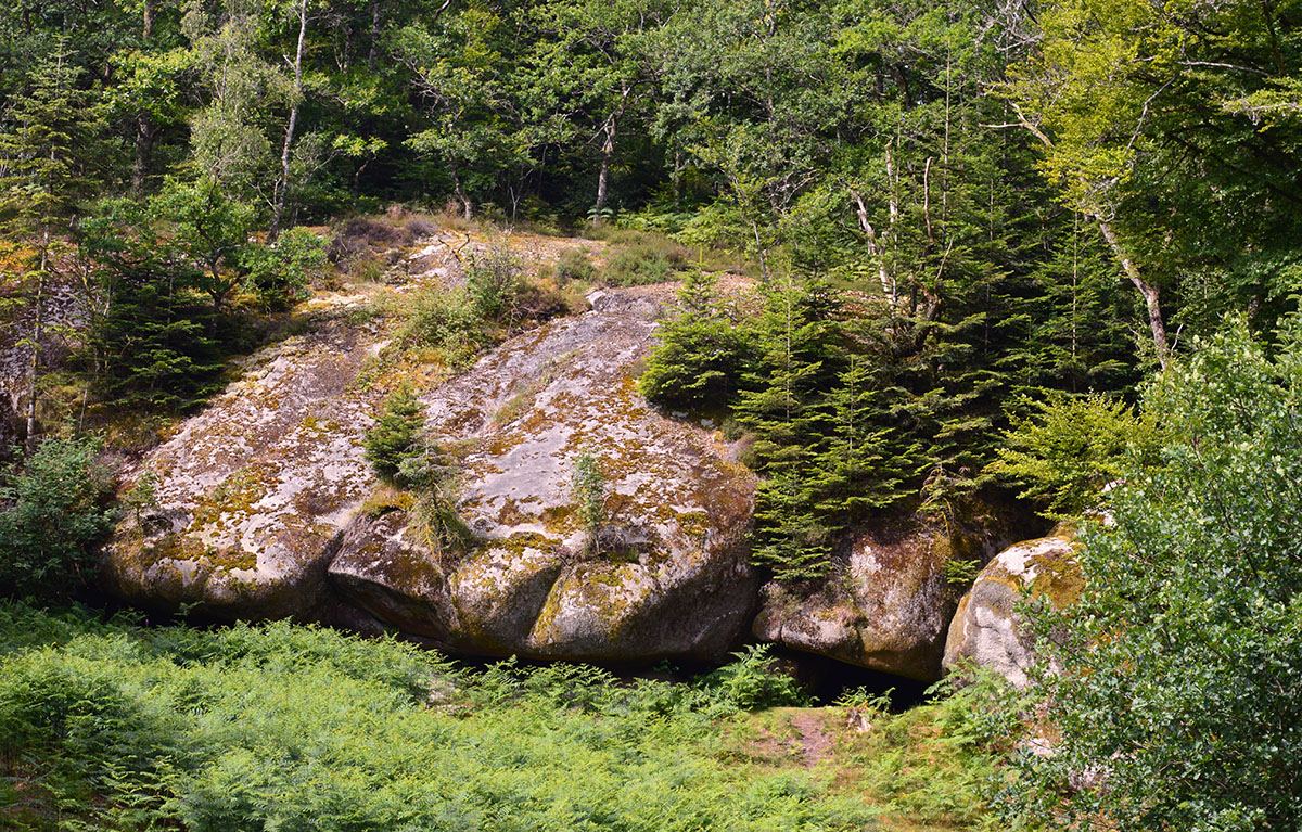 COMPREIGNAC Roches aux fées (3)