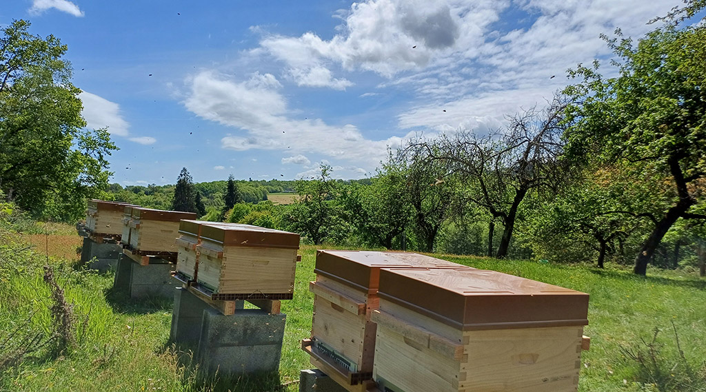 La Ferme aux abeilles