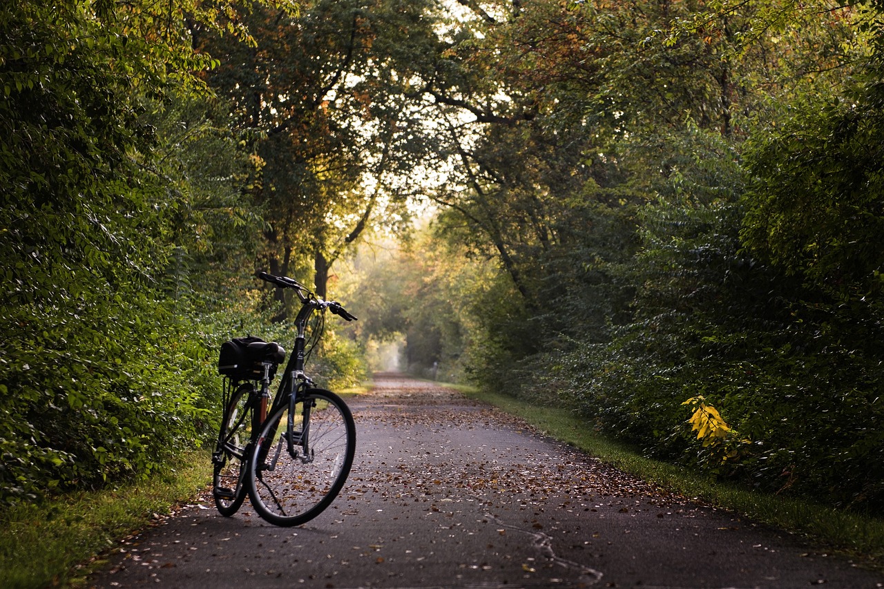 Location de vélos électriques