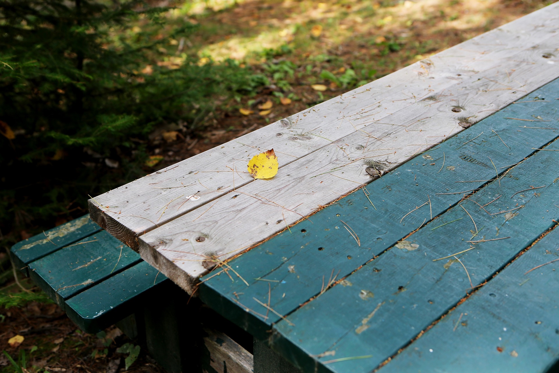 picnic-table-2618414_1920