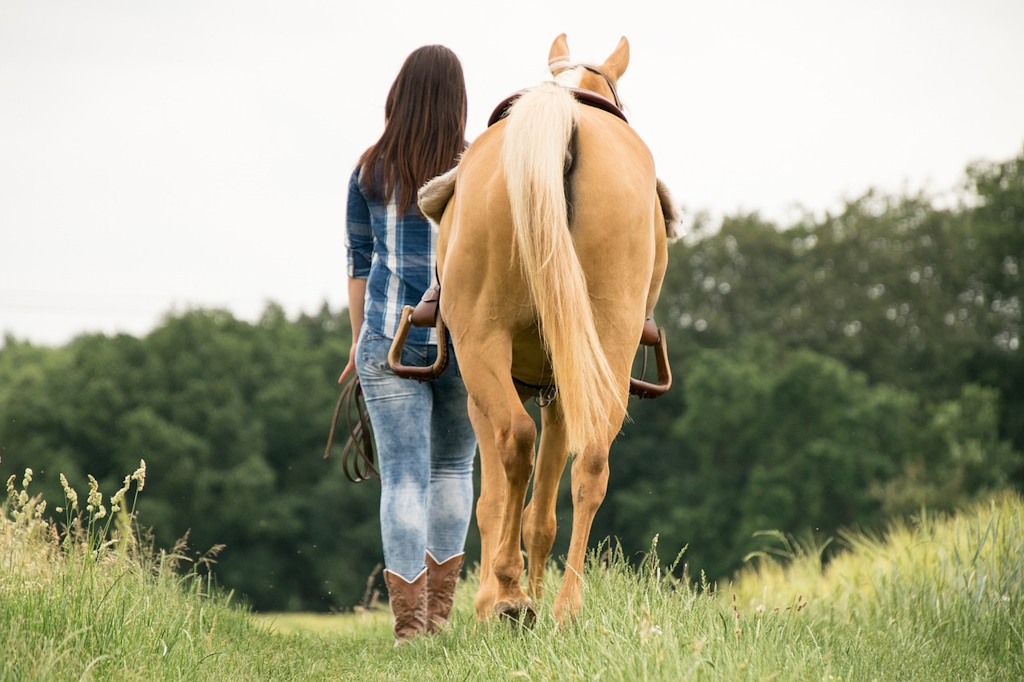 Balade à cheval